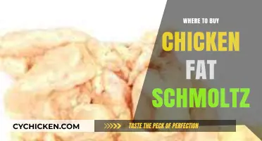 Where to Buy Chicken Fat Schmaltz: Top Sources and Tips