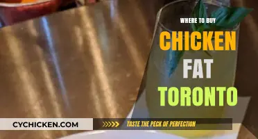 Where to Buy Chicken Fat in Toronto: Top Local Sources