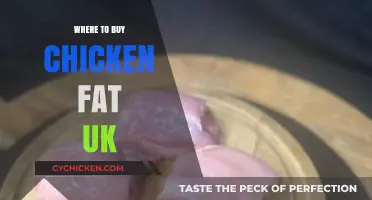 Where to Buy Chicken Fat in the UK: Top Retailers and Tips