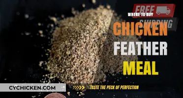 Best Sources to Purchase High-Quality Chicken Feather Meal Online