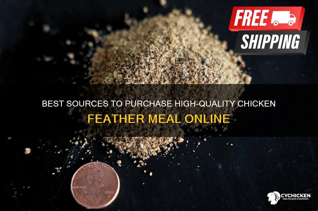 where to buy chicken feather meal