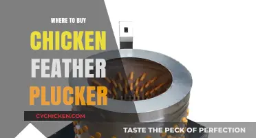 Best Places to Purchase Efficient Chicken Feather Plucker Machines
