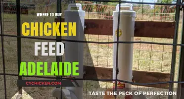 Best Places to Buy Quality Chicken Feed in Adelaide