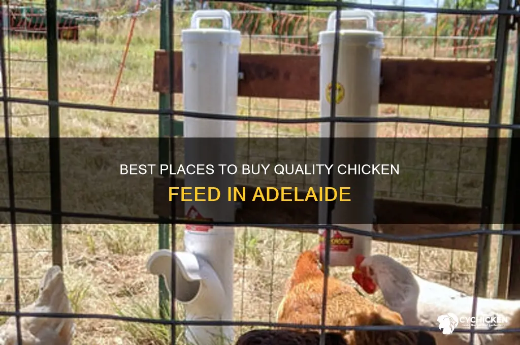 where to buy chicken feed adelaide