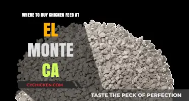 Top Chicken Feed Suppliers in El Monte, CA: Where to Buy