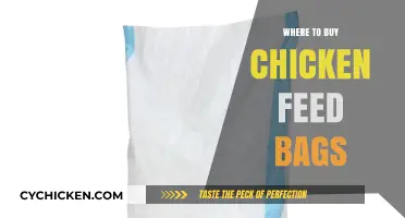 Best Places to Purchase Chicken Feed Bags for Your Flock