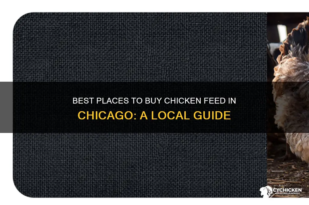 where to buy chicken feed chicago