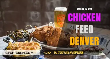 Best Places to Buy Chicken Feed in Denver: A Local Guide