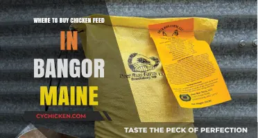 Best Places to Buy Chicken Feed in Bangor, Maine