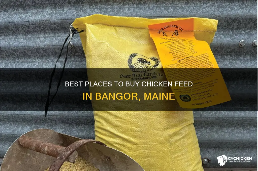 where to buy chicken feed in bangor maine