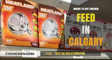 Top Calgary Stores for Quality Chicken Feed and Supplies