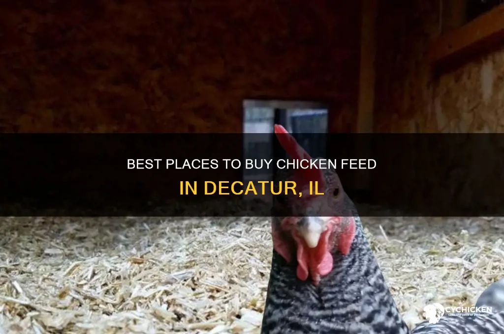 where to buy chicken feed in decatur il