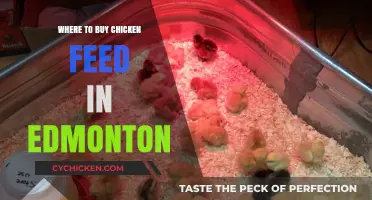 Edmonton's Best Chicken Feed Suppliers: Where to Shop Locally