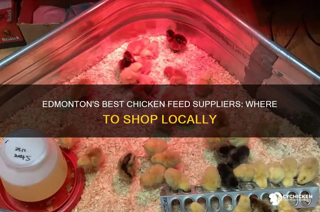 where to buy chicken feed in edmonton
