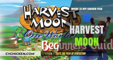 Best Places to Purchase Chicken Feed in Harvest Moon