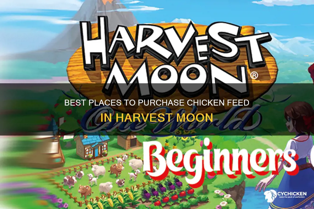 where to buy chicken feed in harvest moon