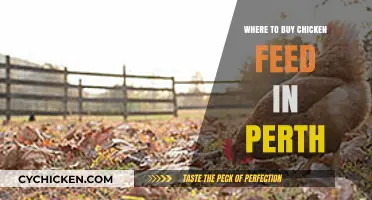 Best Places to Buy Quality Chicken Feed in Perth, Australia