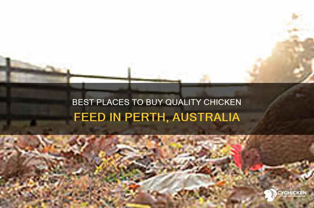 where to buy chicken feed in perth