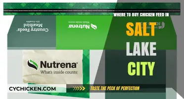 Best Places to Buy Chicken Feed in Salt Lake City