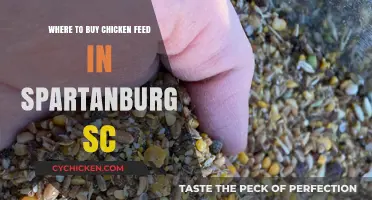 Best Places to Buy Chicken Feed in Spartanburg, SC