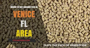 Best Places to Buy Chicken Feed in Venice, FL Area