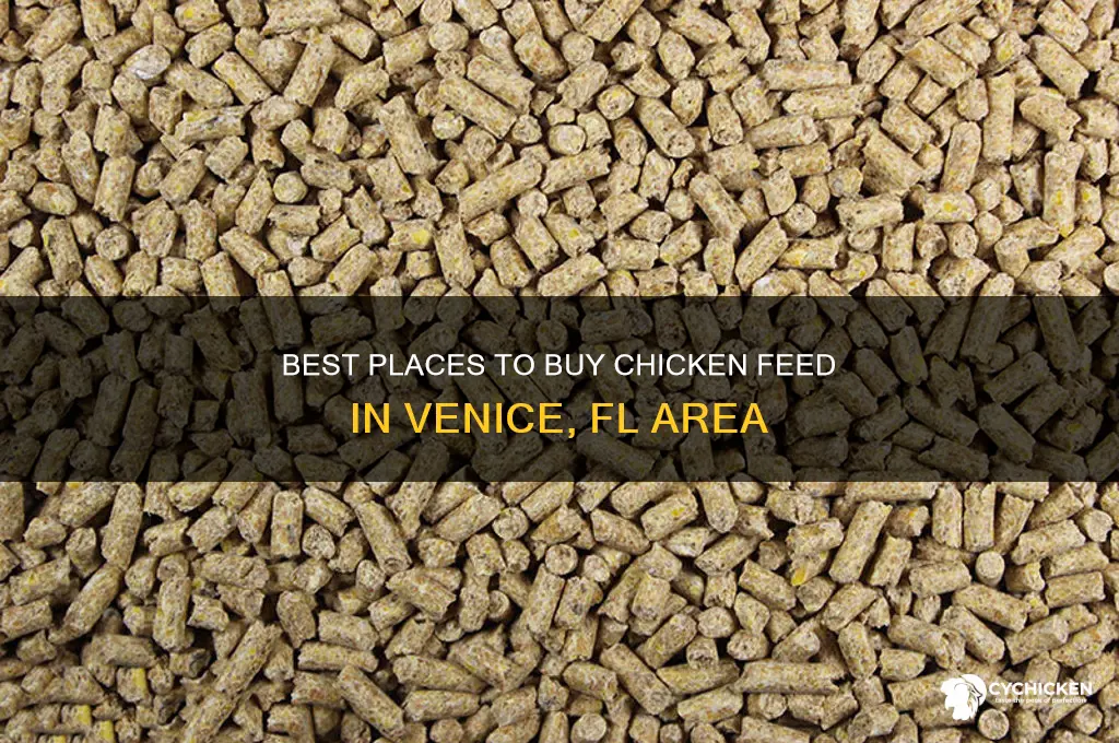 where to buy chicken feed in venice fl area