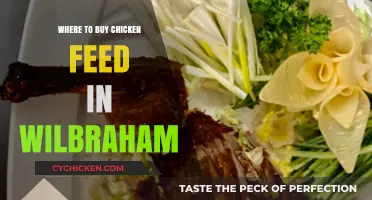Best Places to Buy Chicken Feed in Wilbraham, MA