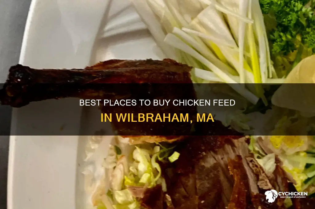 where to buy chicken feed in wilbraham