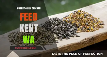 Best Places to Buy Chicken Feed in Kent, WA