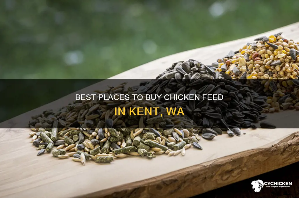 where to buy chicken feed kent wa