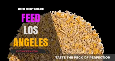 Top Spots to Buy Chicken Feed in Los Angeles