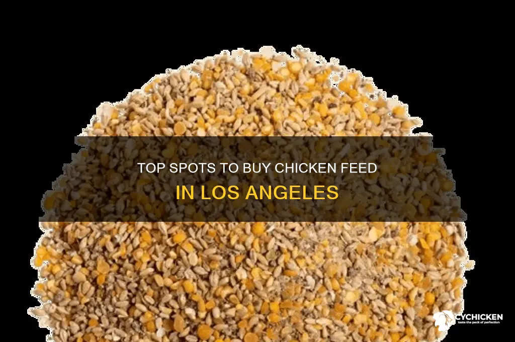 where to buy chicken feed los angeles