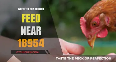 Best Local Spots to Buy Chicken Feed Near 18954