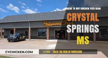 Best Local Chicken Feed Suppliers Near Crystal Springs, MS