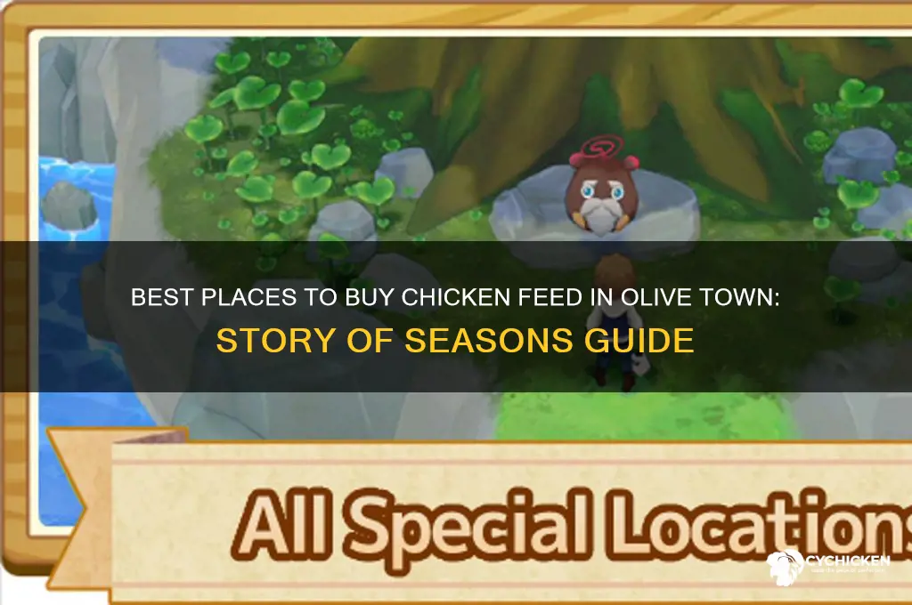 where to buy chicken feed story of seasons olive town