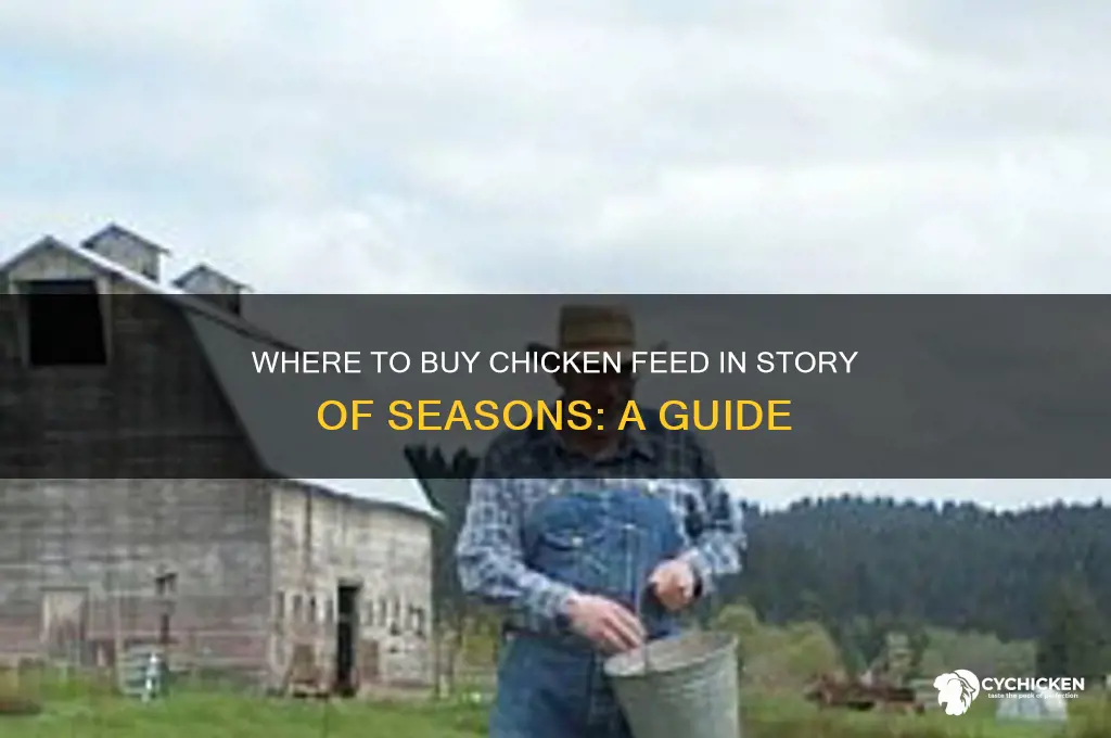 where to buy chicken feed story of seasons