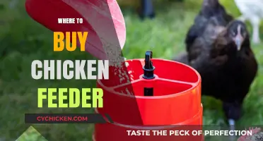 Best Places to Buy Chicken Feeders for Your Flock