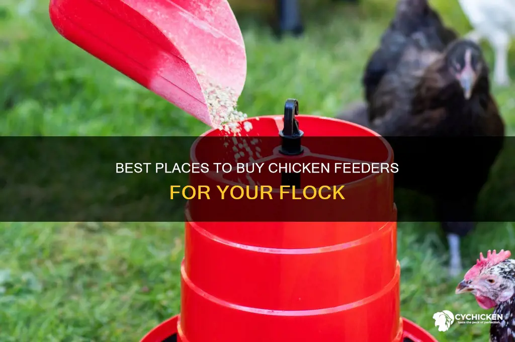 where to buy chicken feeder