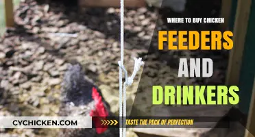 Best Places to Purchase Chicken Feeders and Drinkers Online