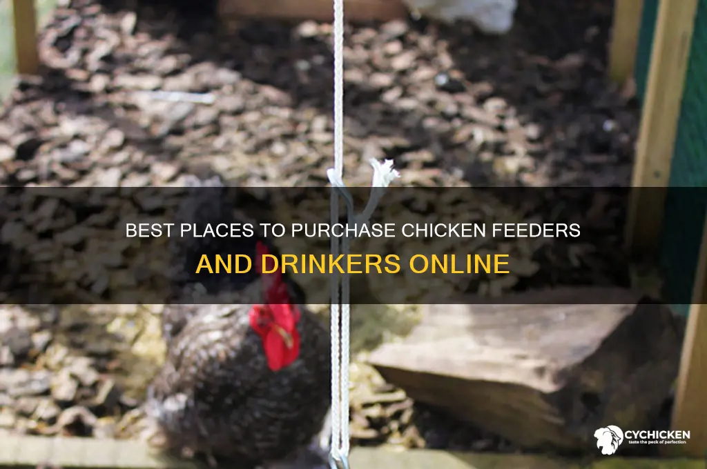 where to buy chicken feeders and drinkers