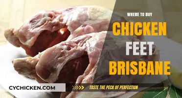 Brisbane's Best Spots to Buy Chicken Feet: A Tasty Guide