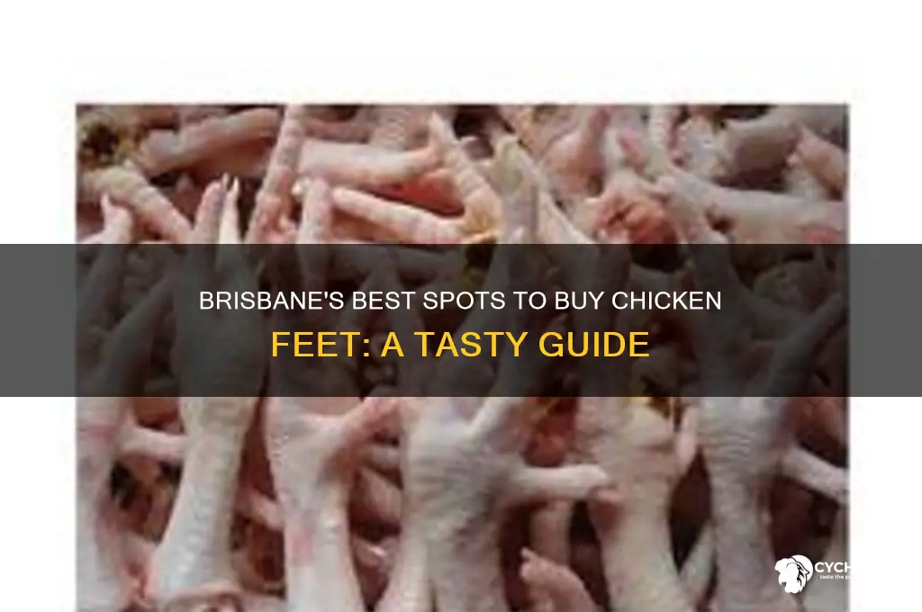 where to buy chicken feet brisbane
