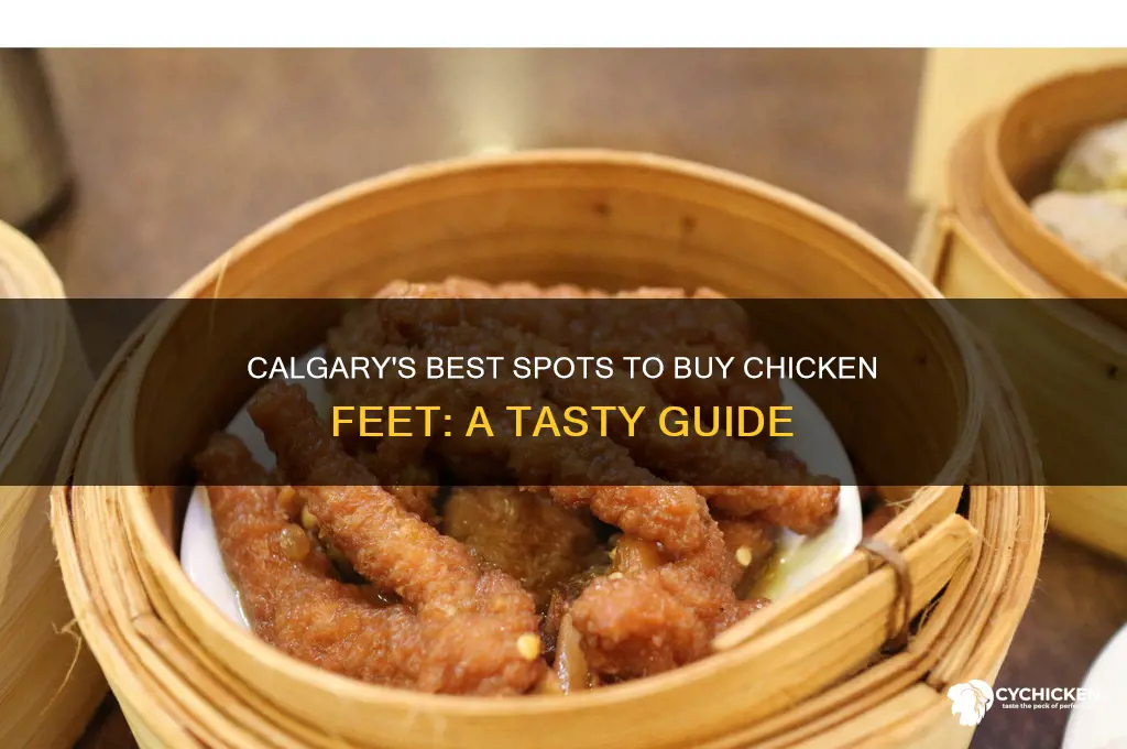 where to buy chicken feet calgary