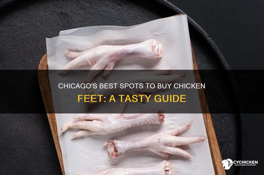 where to buy chicken feet chicago