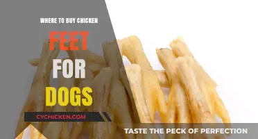 Best Places to Buy Chicken Feet Treats for Your Dog