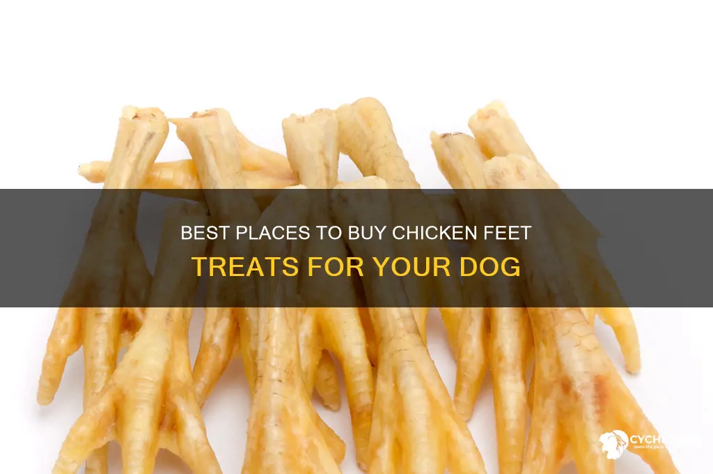 where to buy chicken feet for dogs