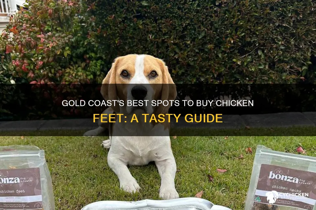 where to buy chicken feet gold coast