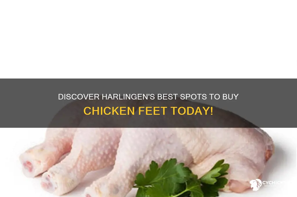 where to buy chicken feet harlingen texas