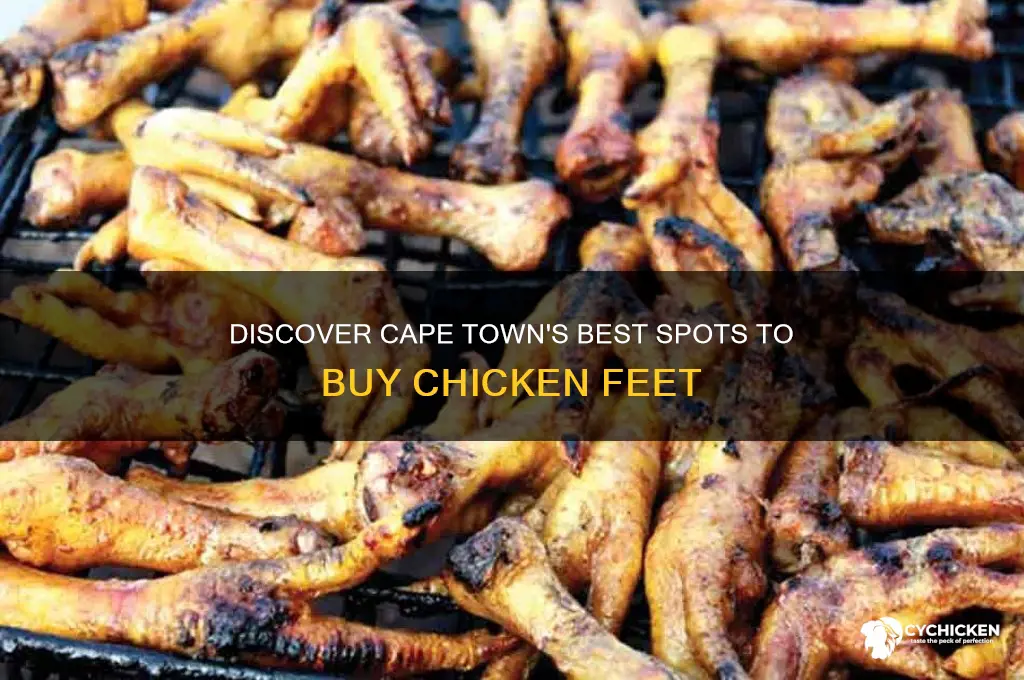 where to buy chicken feet in cape town