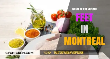 Discover Montreal's Best Spots to Buy Chicken Feet Easily